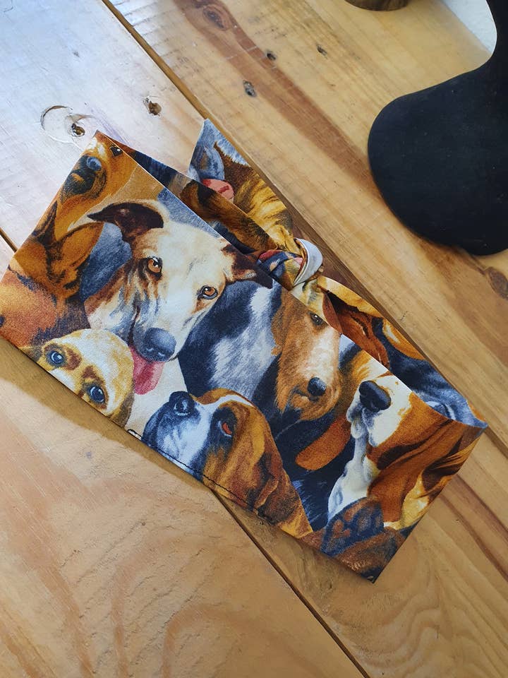 dog border collie German shepherd basset hound puppy for wholesale by Aye Aye