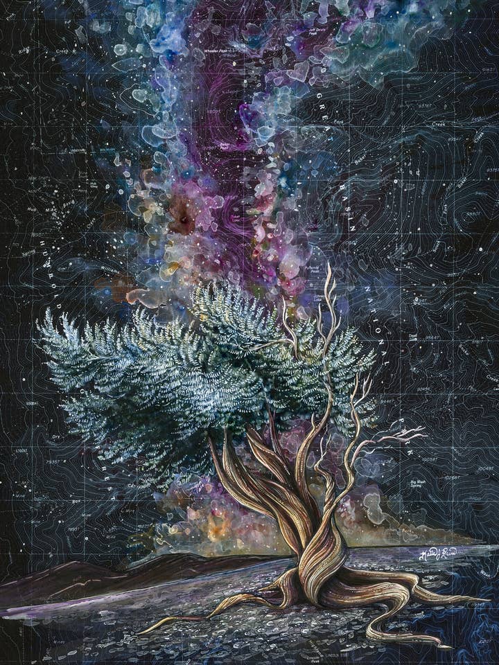 Bristlecone Pine, Great Basin Milky Way Art Matted Print for wholesale by Final Switchback by Katie Jeanne Reim