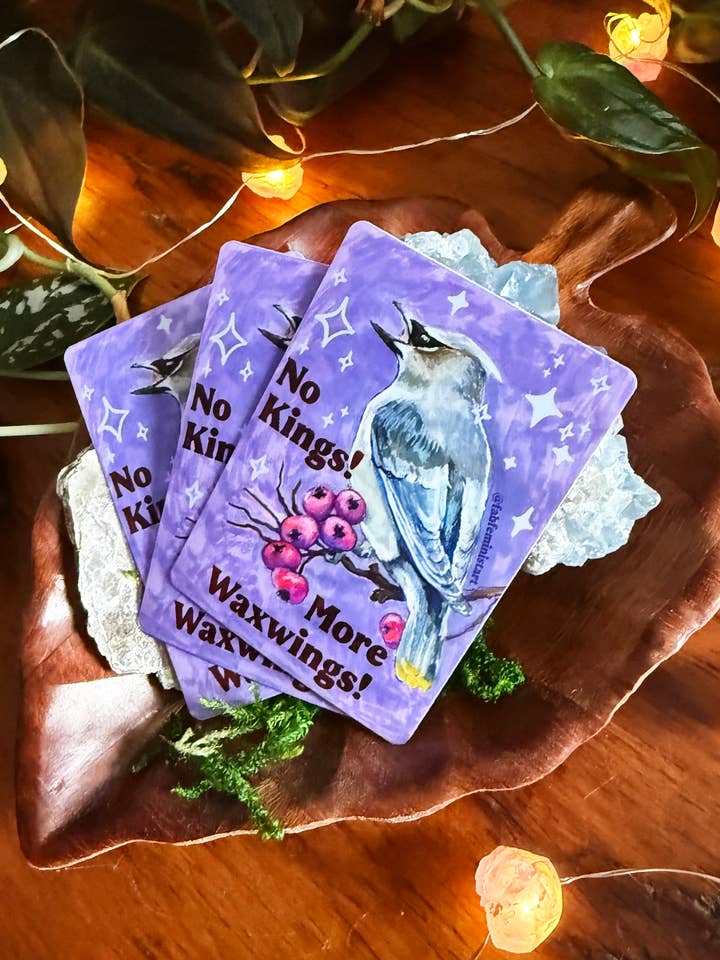 Pas de rois plus de jaseurs : Autocollant féministe pour la vente par Fabulously Feminist