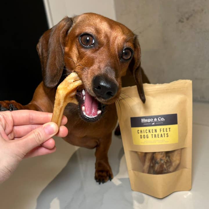 Hugo & Co Dog Treats – wholesale Pet treats – Dog – Chicken Feet Dog Treats1