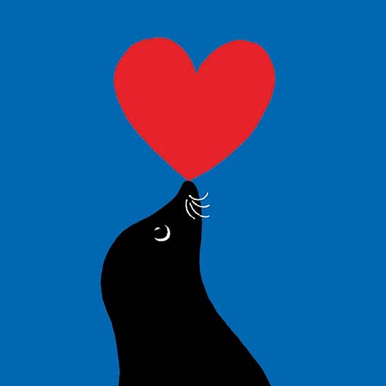 Perfect Balance for wholesale by Paper Bird Publishing