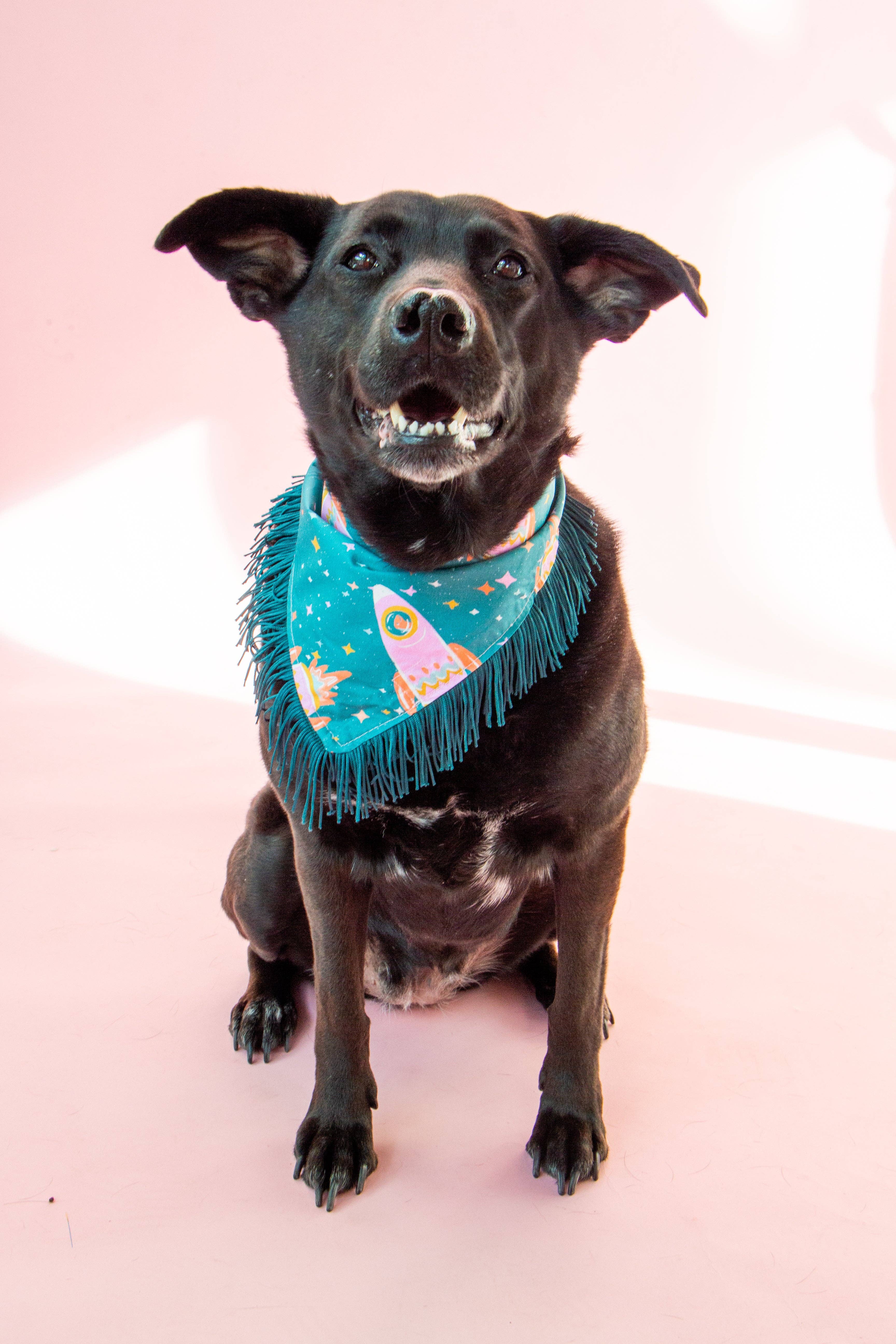 Velvet Outlaw - Wholesale Pet Bandana - Dog - Space Cowboys with Teal Fringe Dog Bandana5