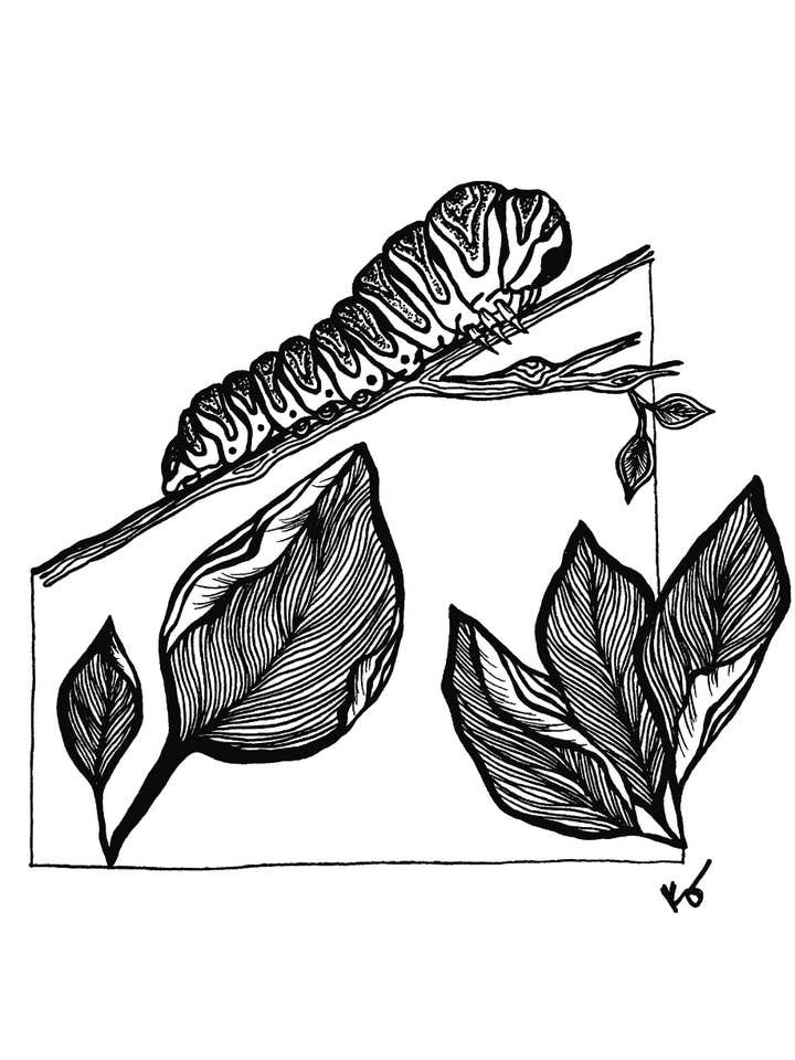 888 Art Print (caterpillar) for wholesale by Mind & Company