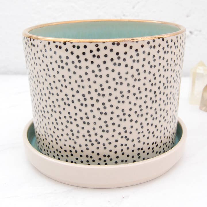 Polka Dot Planter (Tall 5”) for wholesale by Compost Design