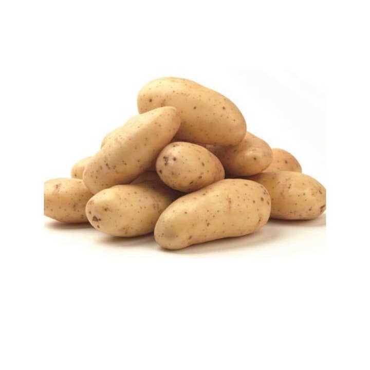 Sila-potatis av sorten Agria med gul kött, säck 5 kg för wholesale av Calabria da Gustare
