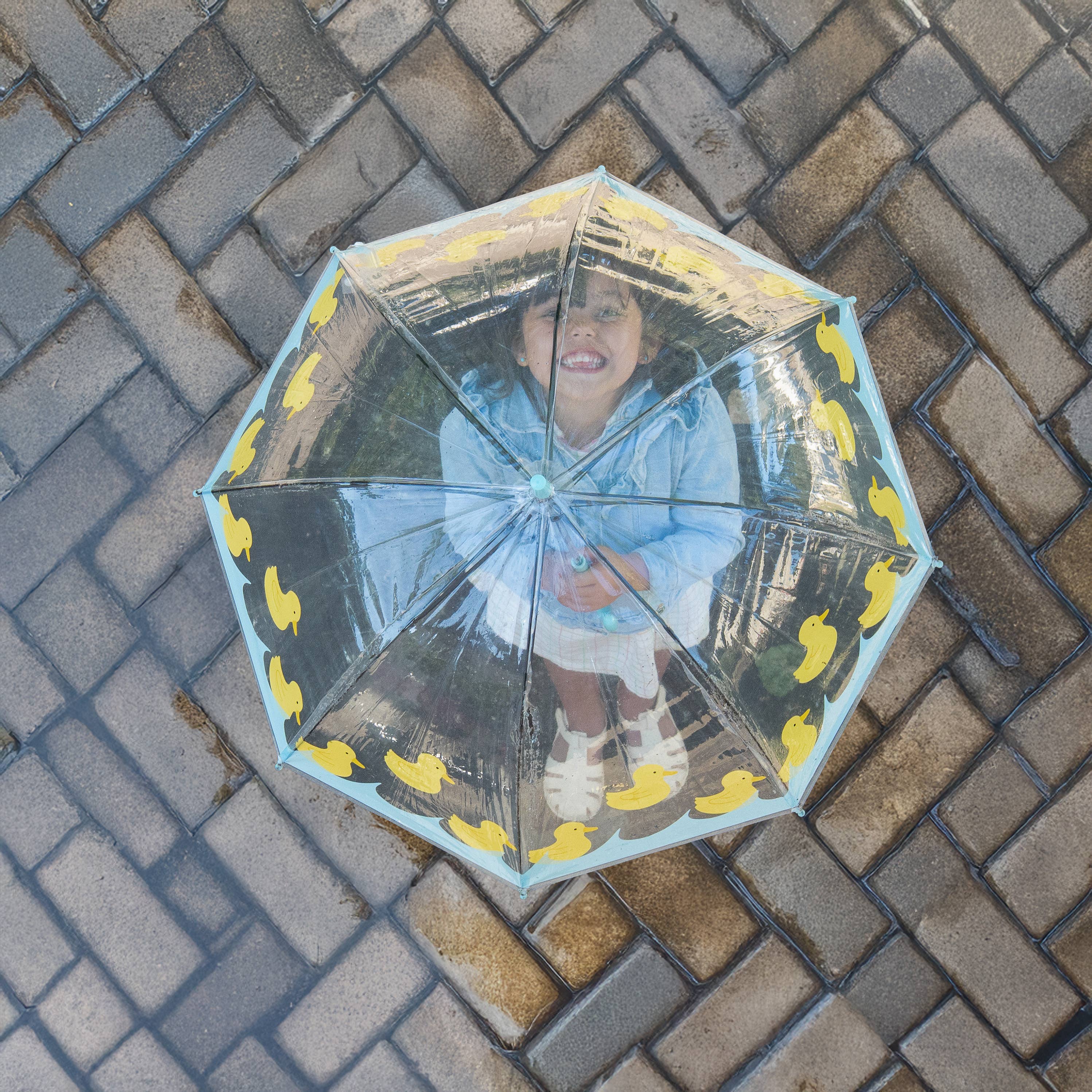 Fisura - Wholesale Umbrella - Kids - Children's transparent umbrella ducks2