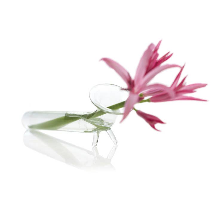 Chive - Wholesale Vase - Boho Bud Vase Clear Glass Flower Holder for Plants1