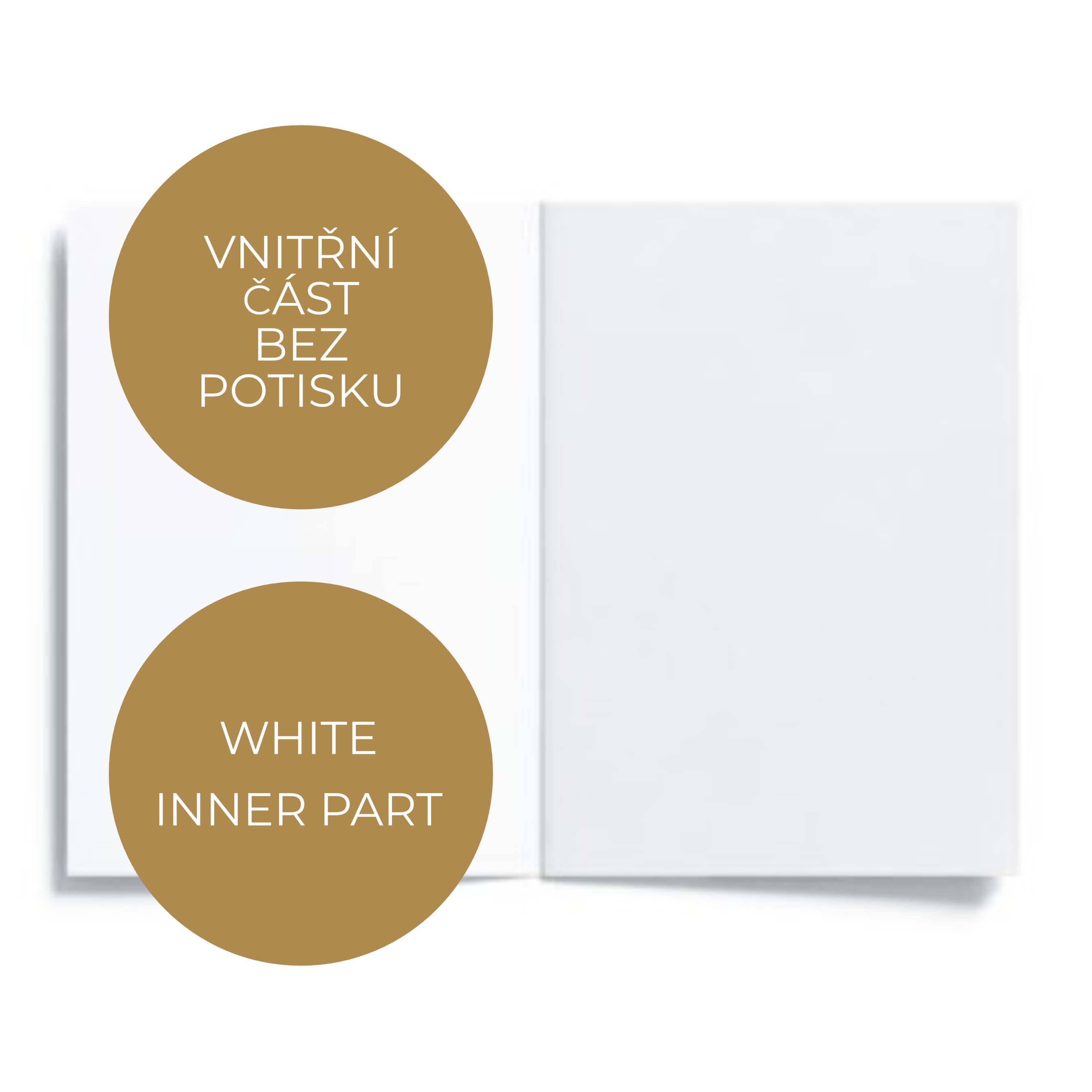 SIMPLY PAPER LOVE – wholesale Love card – 20084 Greeting Card Shabby Romantic Roses On White1