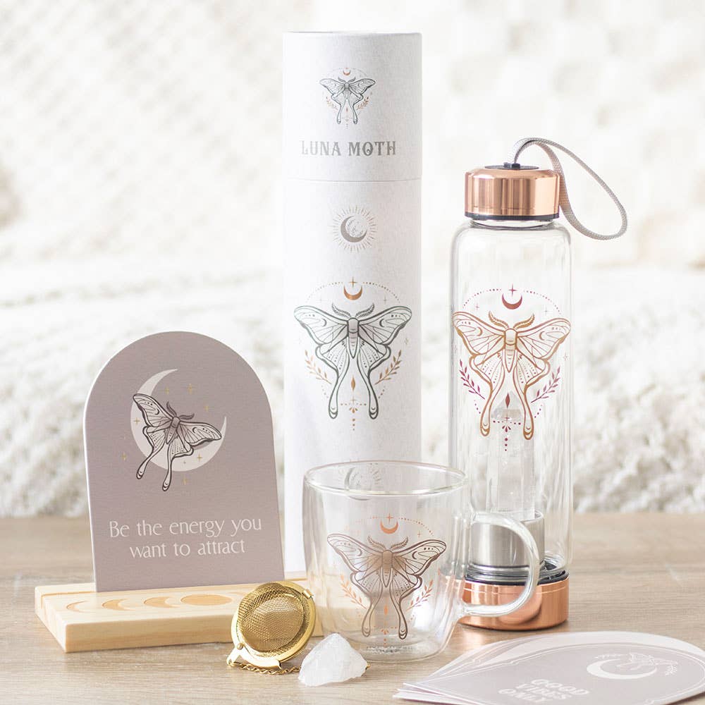 Something Different Wholesale - Wholesale Tea Strainer/Infuser - Luna Moth Double Walled Glass Mug with Crystal Tea Infuser6