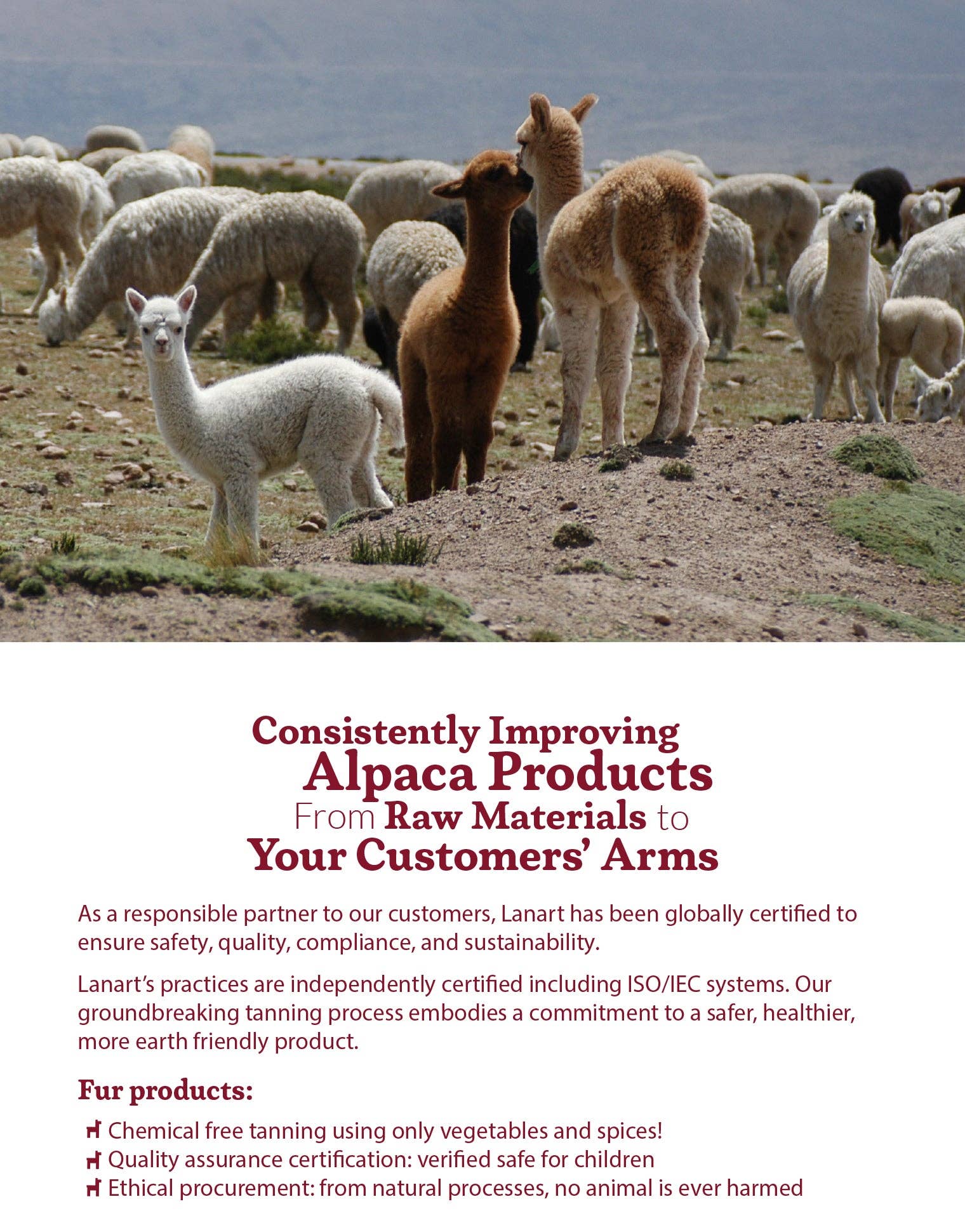 Lanart Alpaca - Wholesale Stuffed/Plush Toy - Kids & Baby - Plush Mama Alpaca 10"4