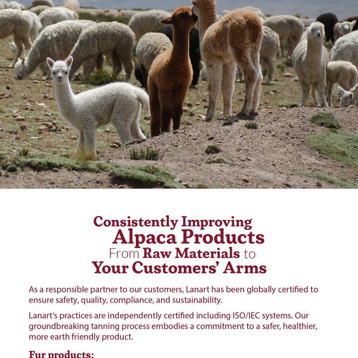 Lanart Alpaca - Wholesale Stuffed/Plush Toy - Kids & Baby - Plush Mama Alpaca 10"4