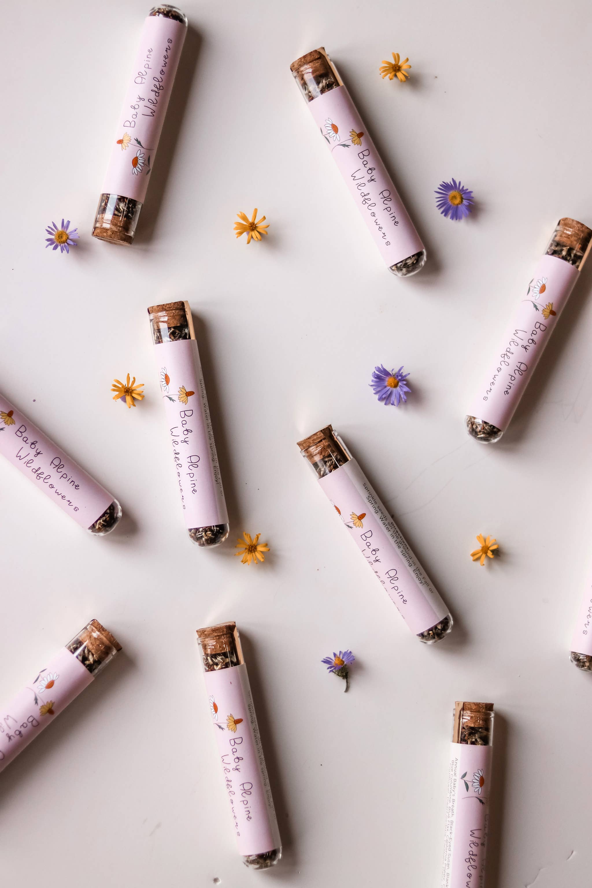 Elevation Goods – Sementes de plantas por atacado – Mistura de sementes de flores silvestres1