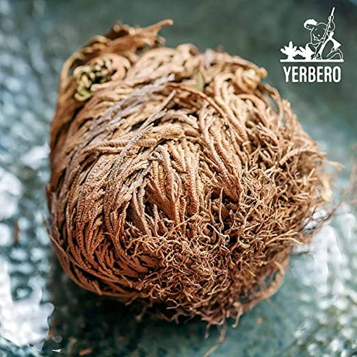 YERBERO - Wholesale Dried/Pressed Flowers - Yerbero - 10 Pack Big Rose Jericho Dried Flower 2.5''-3.5'' | Selaginella Lepidophylla | Resurrection Plant | Jumbo Size Dried Rose | Abundance,2