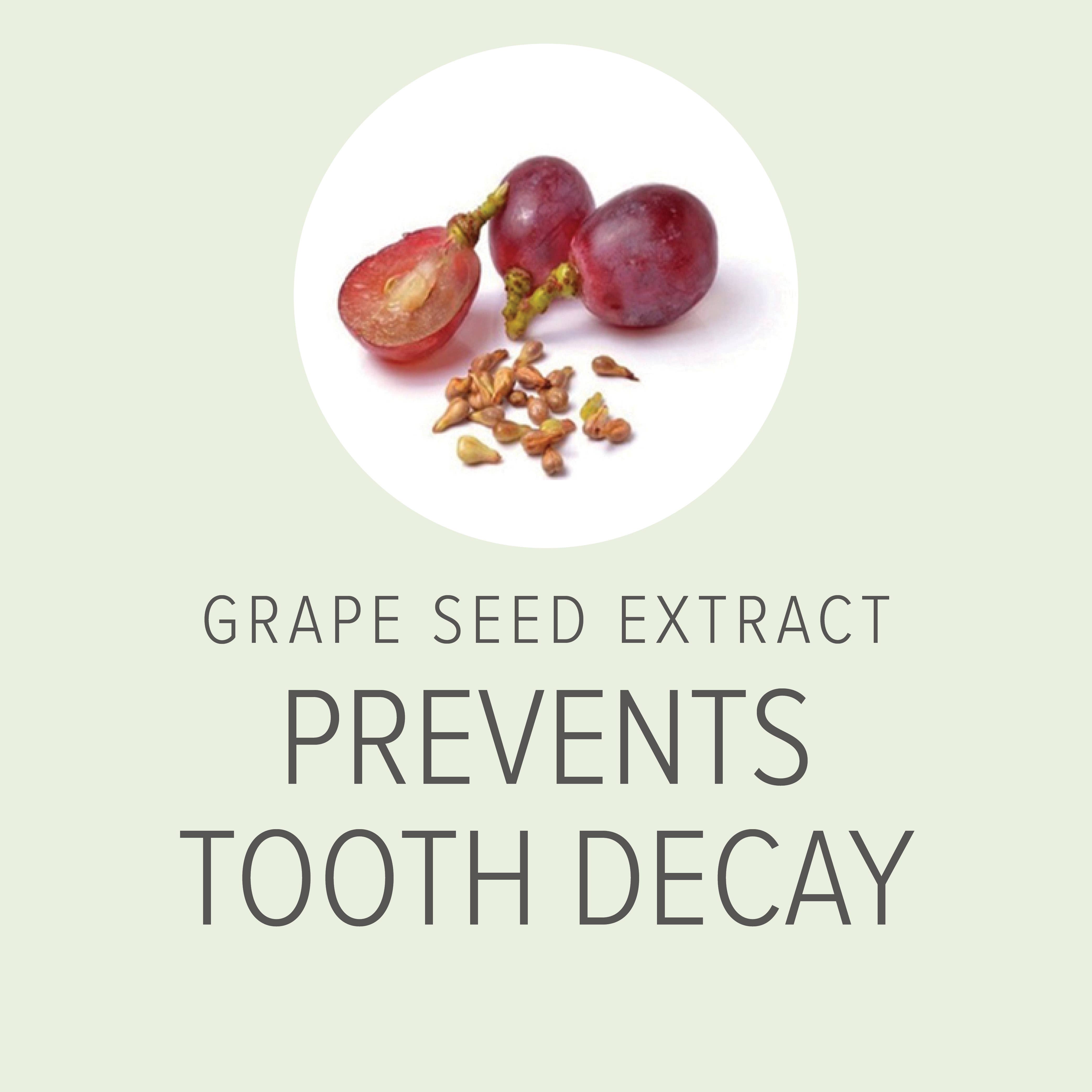 Pure and Natural Pet - Wholesale Pet Spray - Dog - Plaque & Tartar Control Breath Spray for Dogs - Organic Dent2