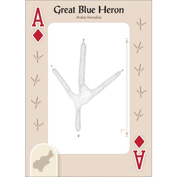 AdventureKEEN - Wholesale Playing Cards - Animal Tracks of the Northeast Playing Cards3