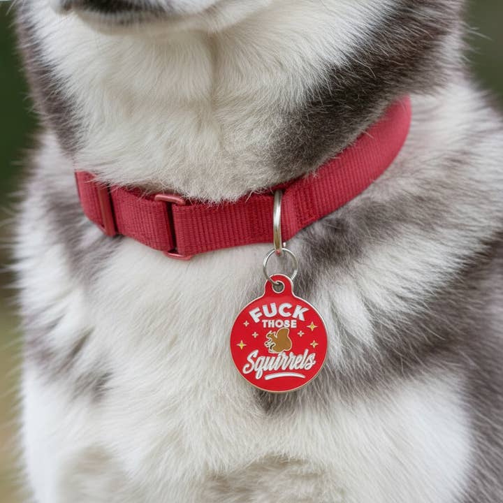 Bad Tags - Wholesale Pet Collar Charm - Cat/Dog - Personalized Dog Tag Scannable QR Code - Fck Those Squirrels7