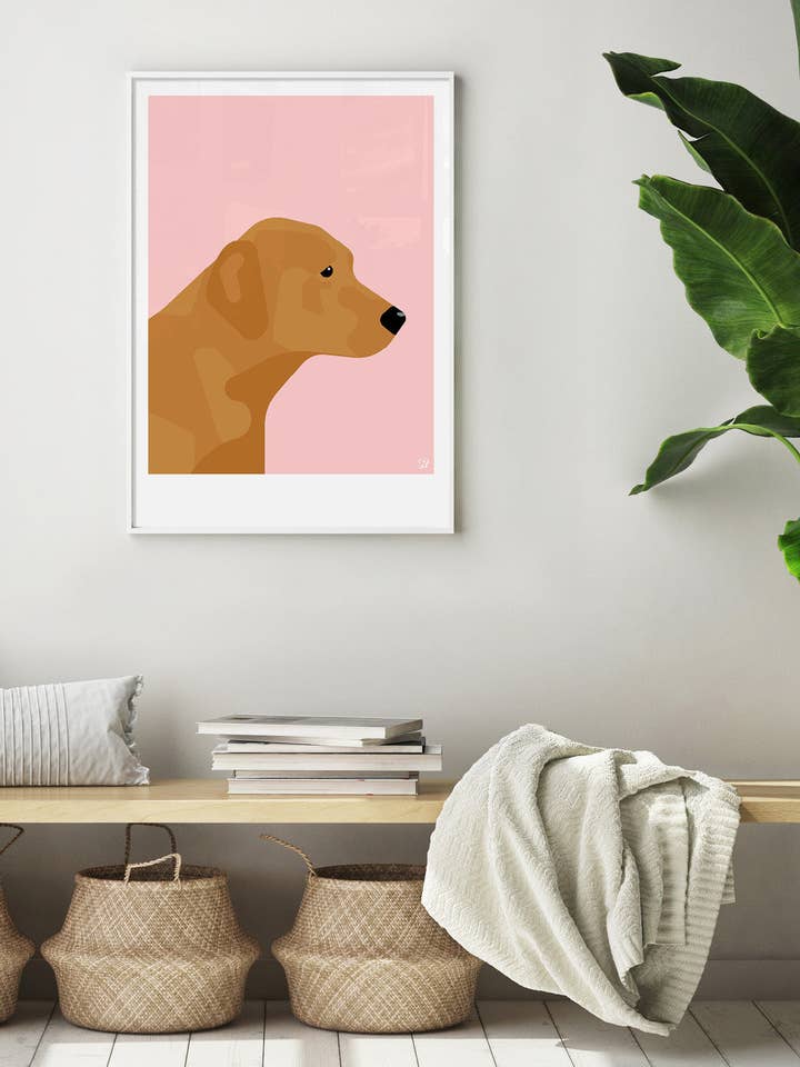 Fox rød labrador for engroshandel hos Rocket Jack