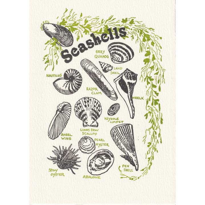 Saturn Press - Wholesale Everyday Greeting Card - Seashells