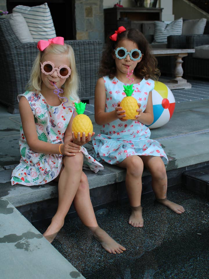 Minna - Wholesale Dress - Kids - Drop waist Dress - Summertime at the Cape Sea Creatures18