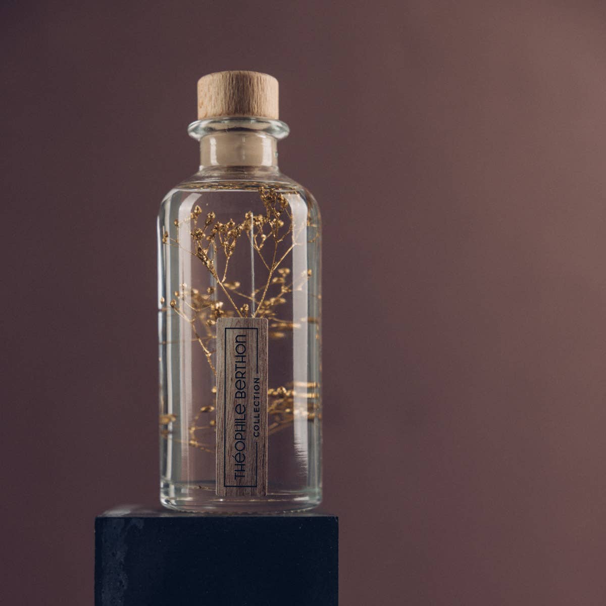 Theophile Berthon - Vente Plante - L'Herbarium Gypsophile Or - plante immergée30