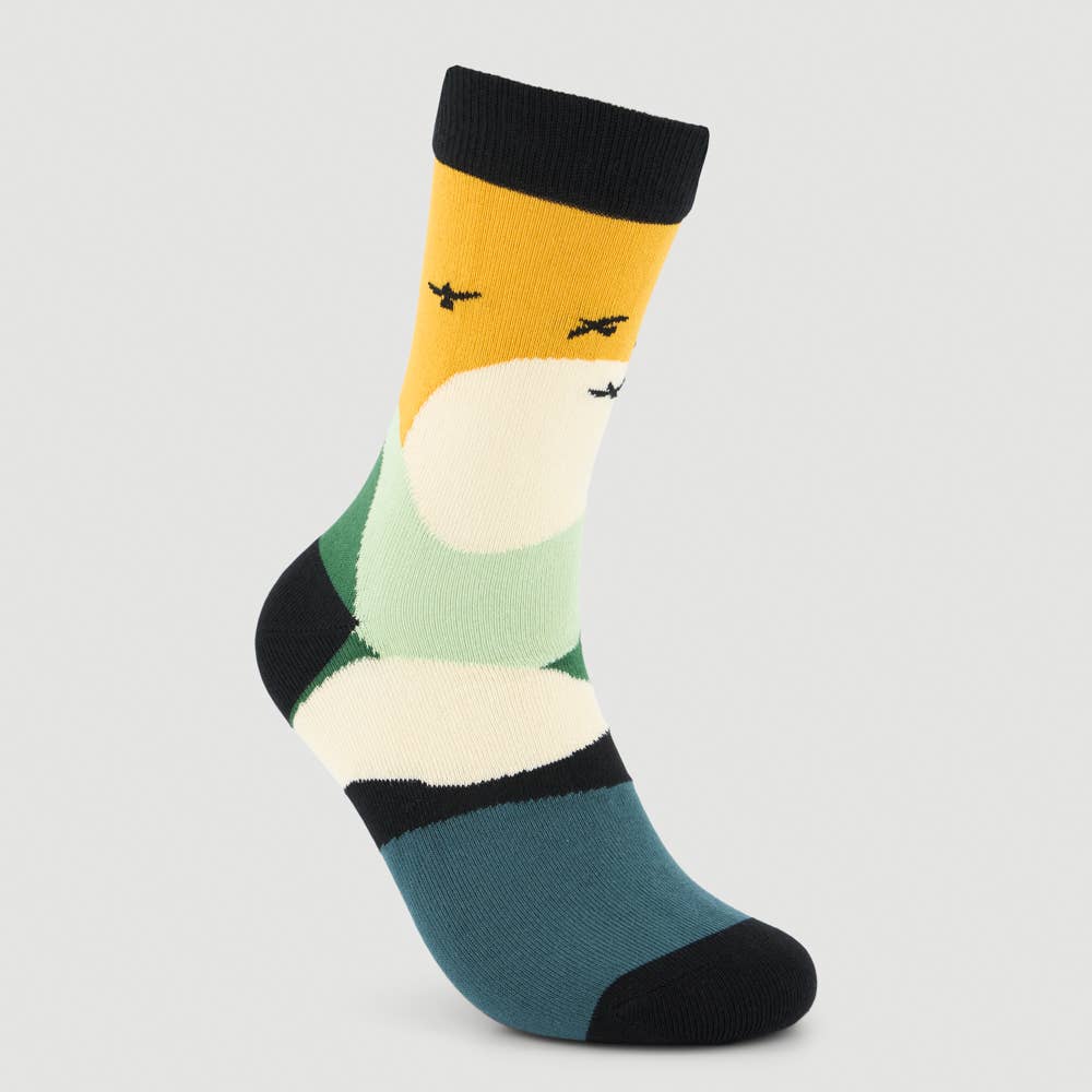 Veraluna Sustainable Clothing - Wholesale Socks - Unisex - ORGANIC COTTON SOCKS GIFTBOX CLIMATE FAIR TRADE 4