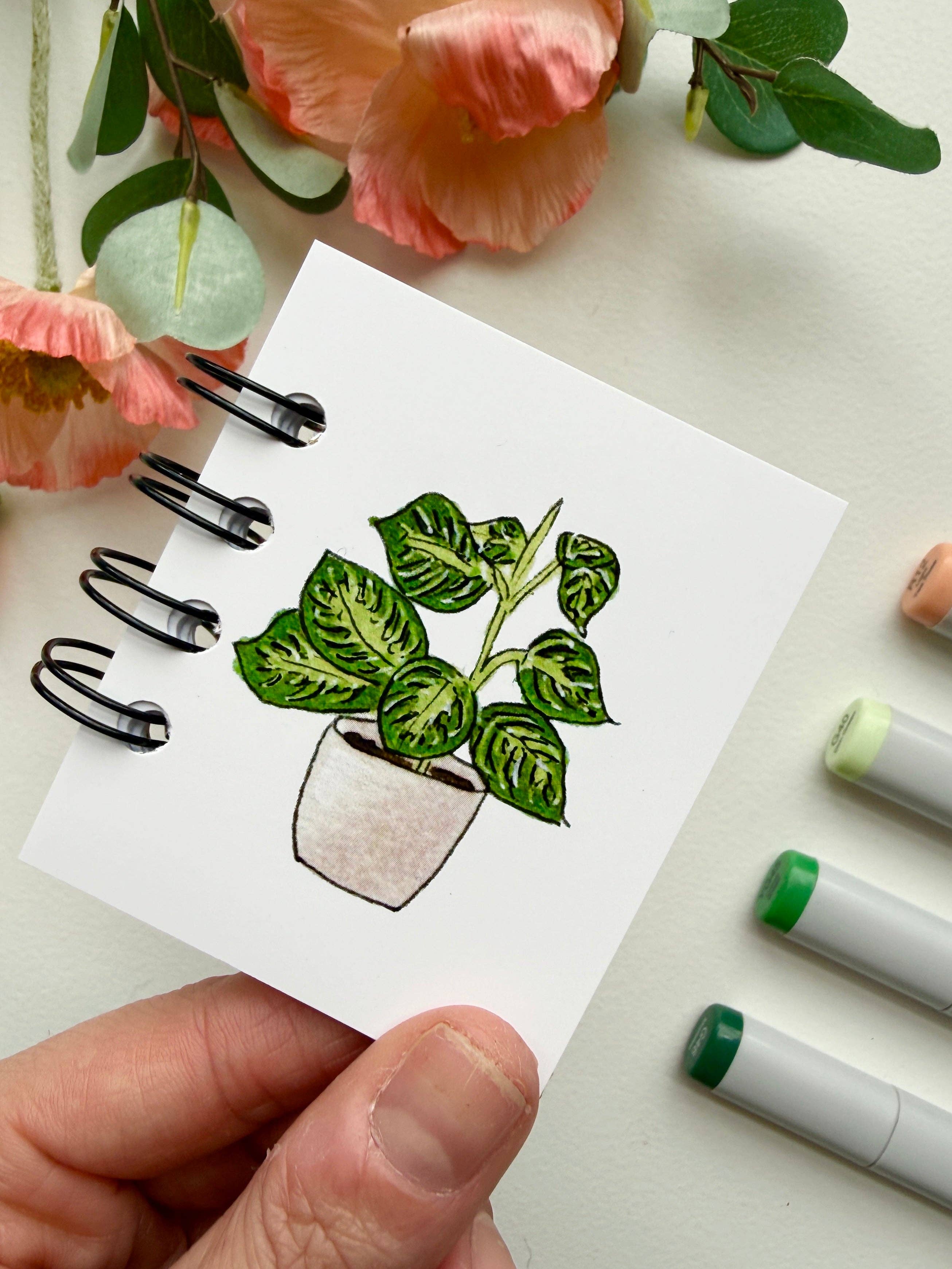 D. Prince Designs - Wholesale Notebook - Hand-Illustrated + Handmade Mini Notebook/Sketchbook | Maranta Houseplant2