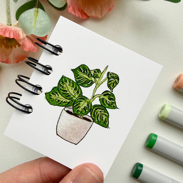D. Prince Designs - Wholesale Notebook - Hand-Illustrated + Handmade Mini Notebook/Sketchbook | Maranta Houseplant2