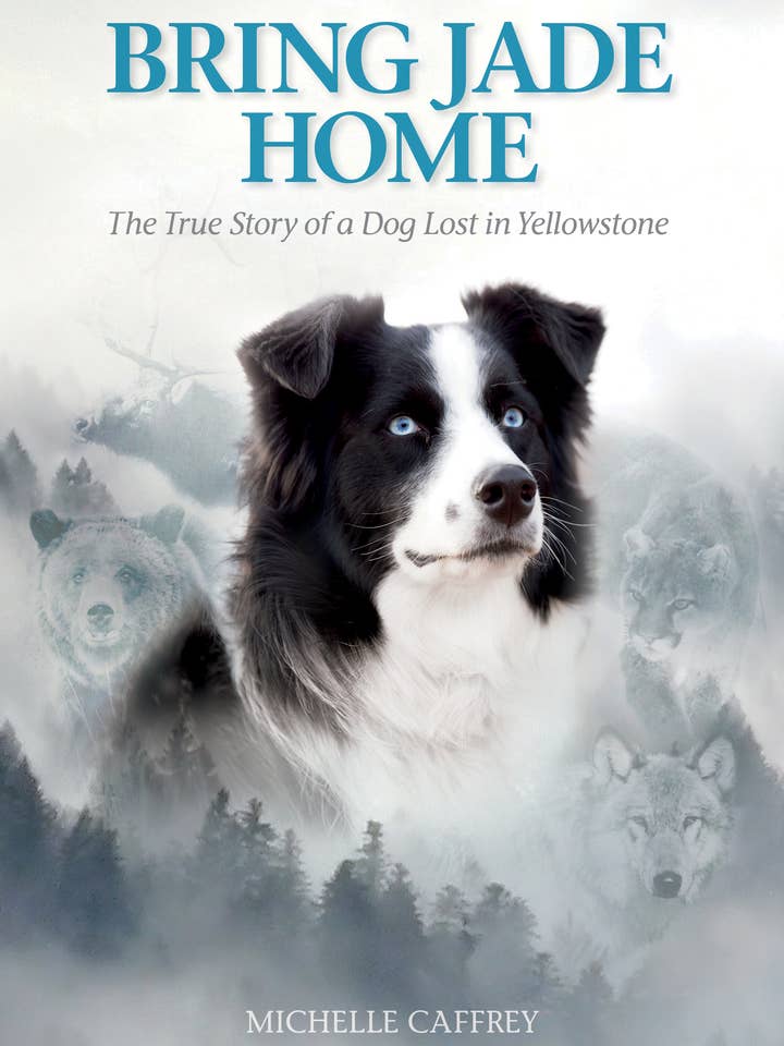 Bring Jade Home
The True Story of a Dog Lost in Yellowstone for wholesale by Farcountry Press
