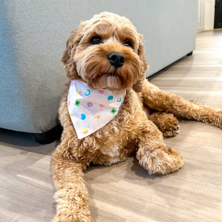 Briggs & Rory - Wholesale Pet Bandana - Dog - Lucky Charm Dog Bandana1