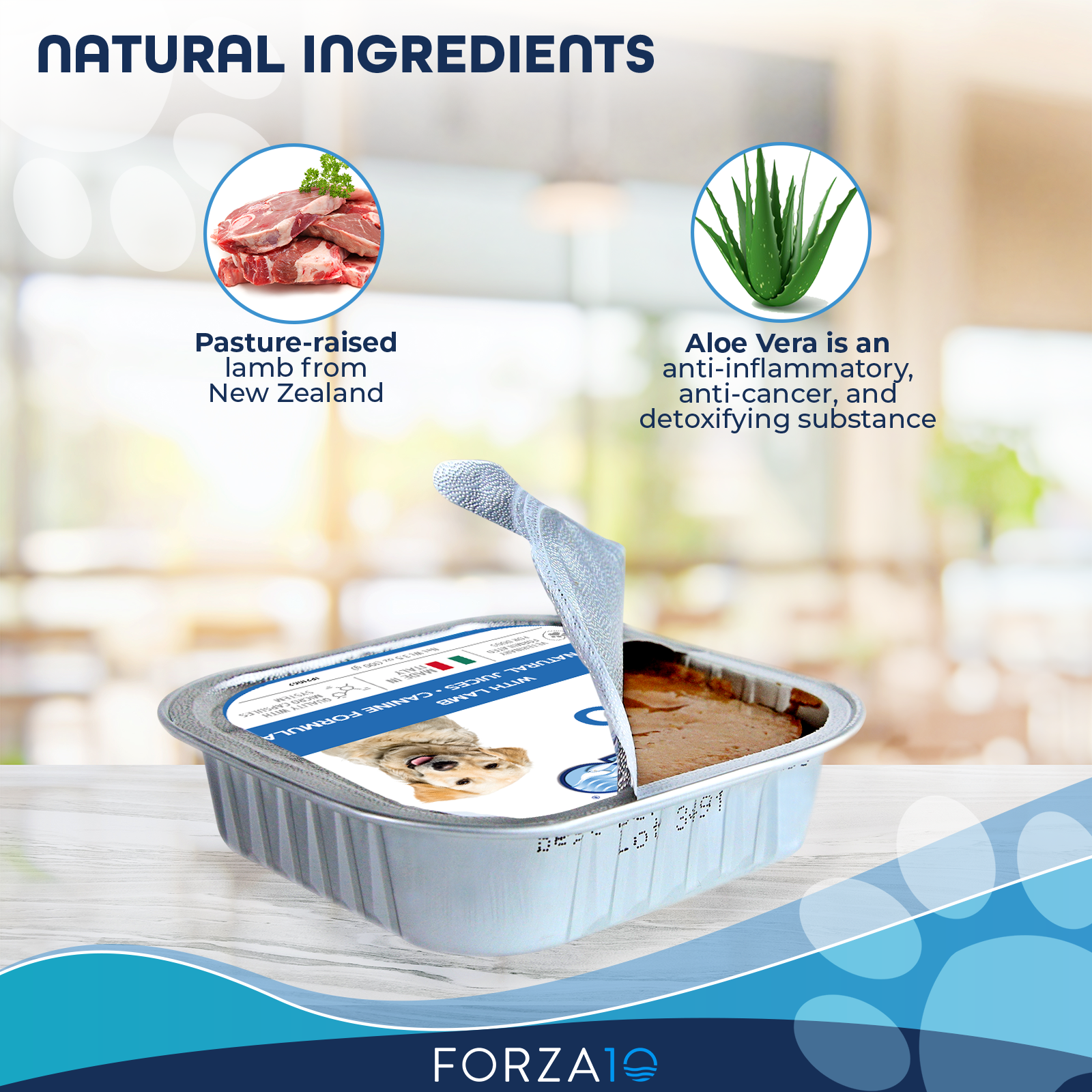 Forza10 Pet Food – comida - Cão por atacado – Forza10 Actiwet Hipoalergênico Alimentos para cães enlatados sabor cordeiro2