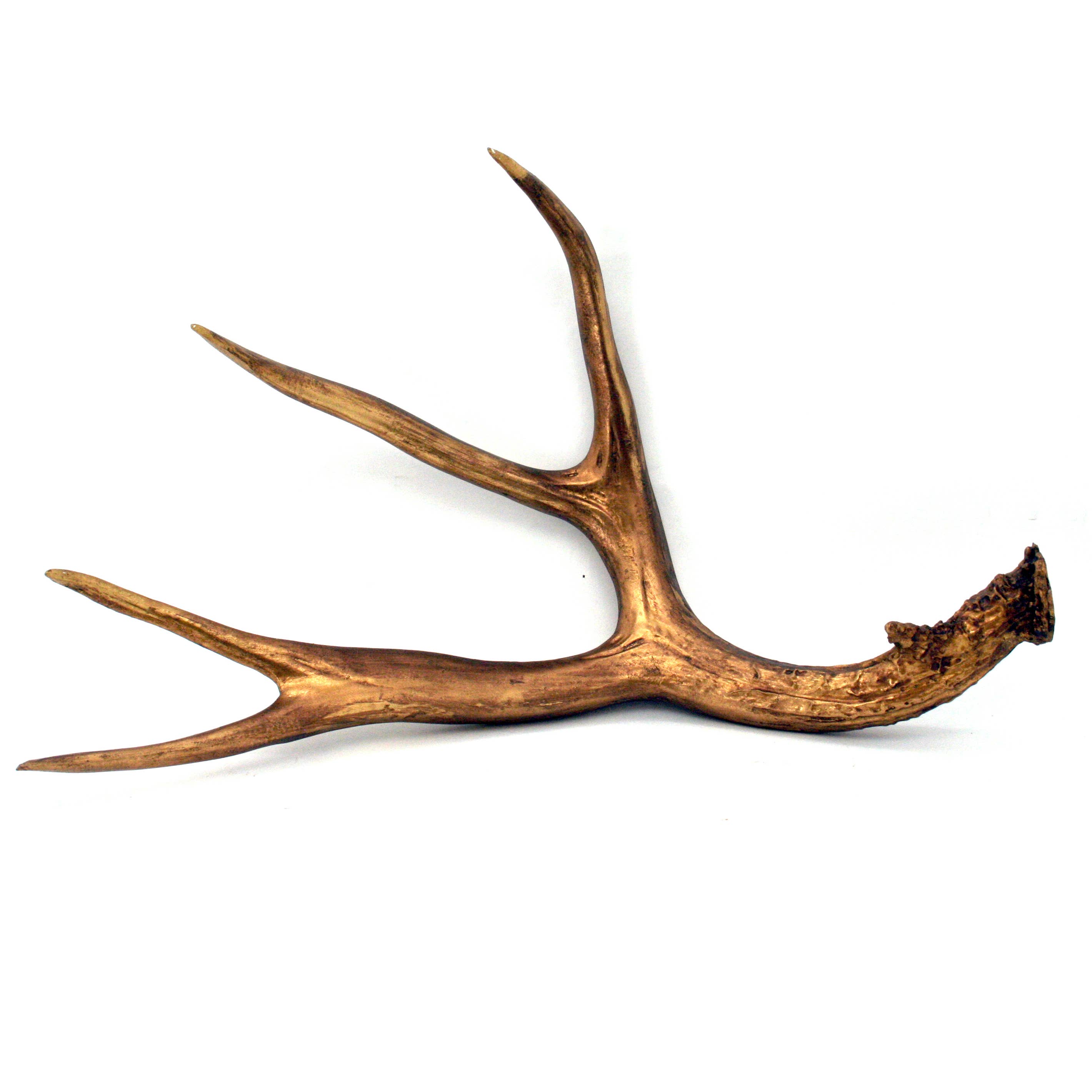 Modern World by Contrast Inc. - Wholesale Decorative Tabletop Object - Gold Resin Elk Horn0