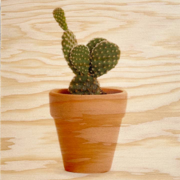 3x3 MINI CACTUS 2 Wood Print for wholesale by Lancaster Wood Prints
