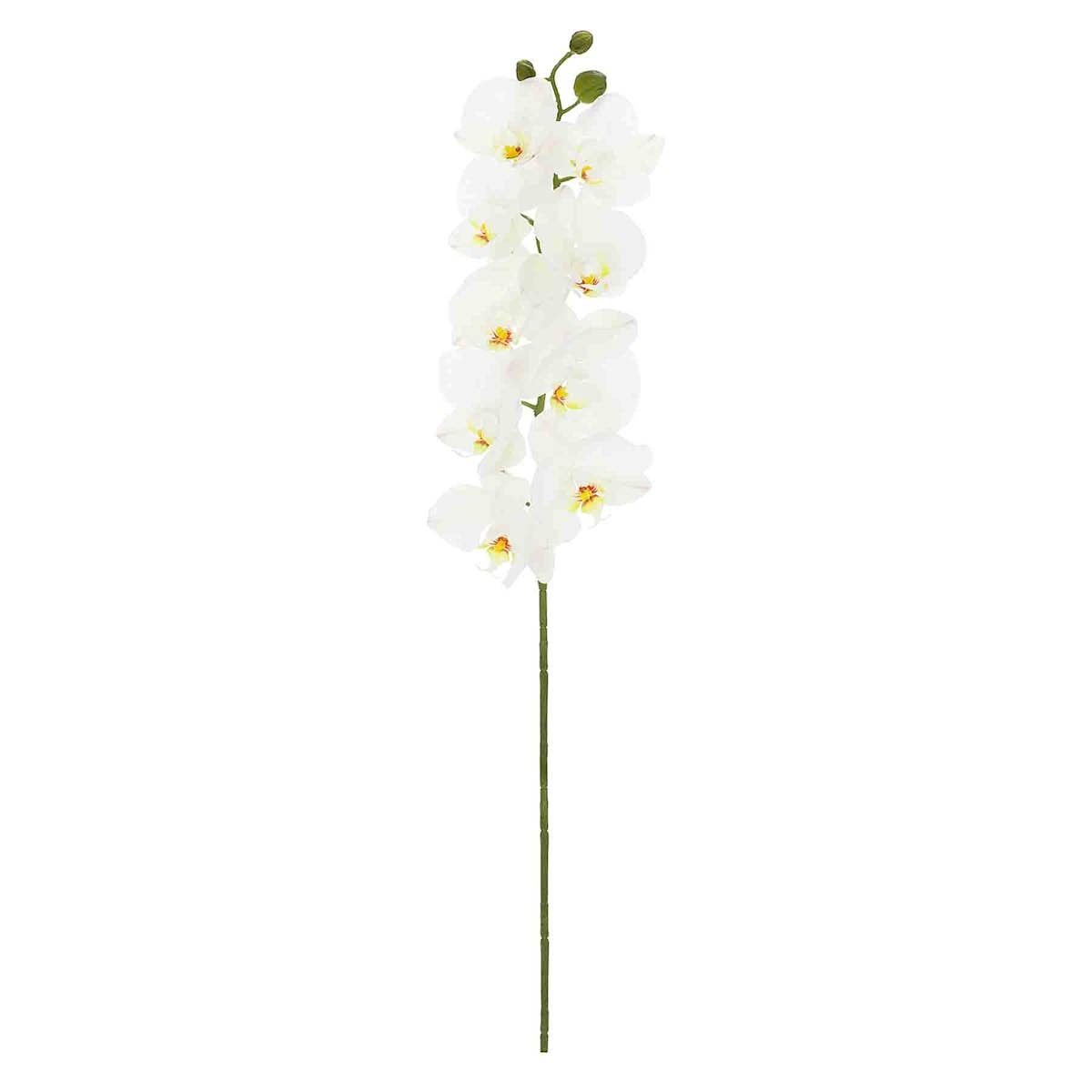 RC Home Decor - Vente Fleurs artificielles - Tige de fleur artificielle orchidée blanche de 29,5"0