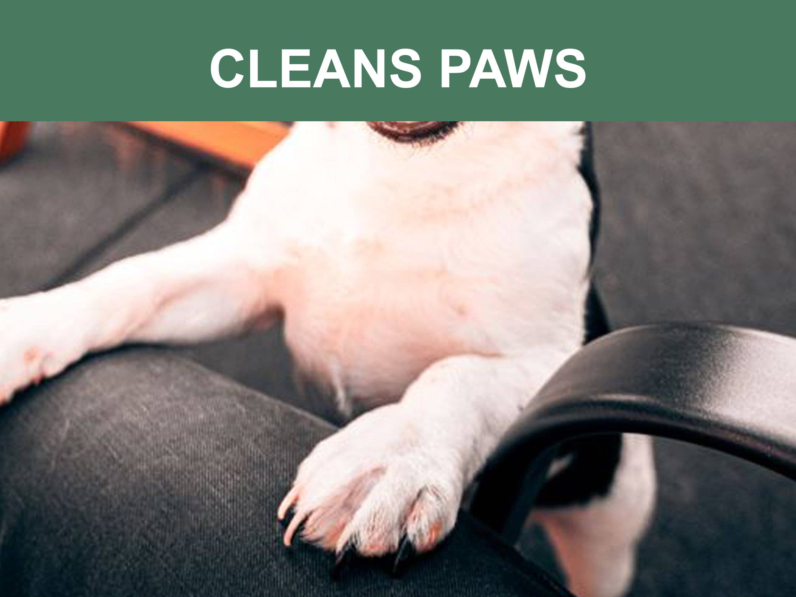 Mr. Peanut's - Wholesale Pet Grooming Aid - Dog - Mr. Peanut's Naturals Plant Based, Flushable, Compostable, Unscented Pet Wipes, 160 Count, Larger 8x6" Size7