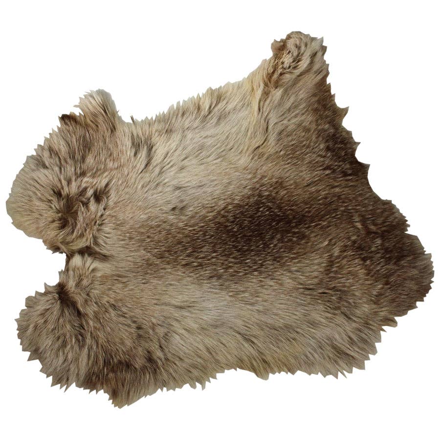 Assorted Rabbit Skins for wholesale on Faire1