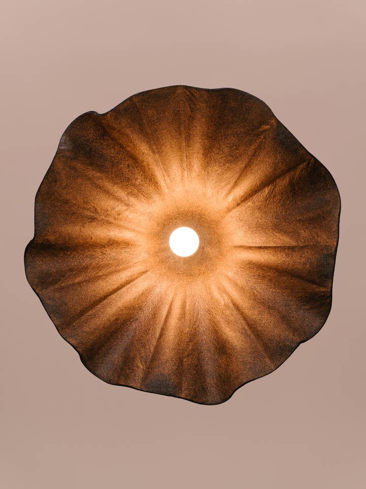 Obskure Kaffee-Medium für den Großhandel von Biohm - The Future of Home