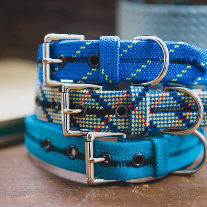 Scavenger - Wholesale Pet Collar - Dog - Dog Collar