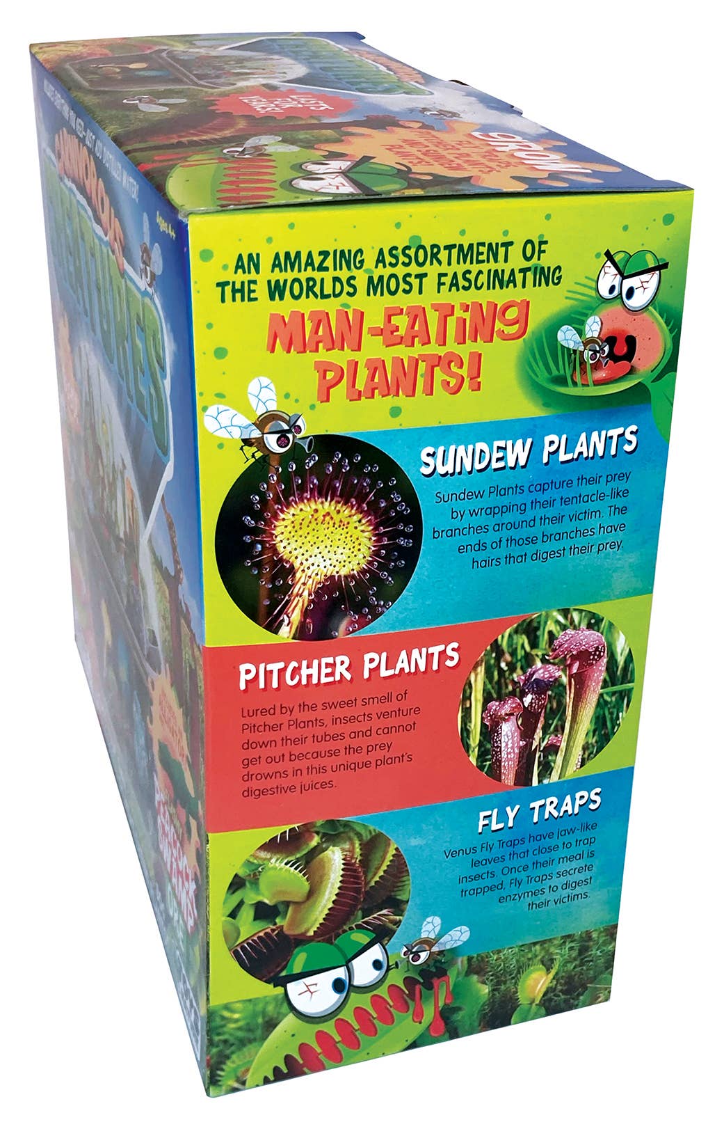 Silver Circle Products - Wholesale DIY Craft Kit - Kids - Carnivorous Creatures Biosphere Meat-Eating Terrarium Kit5