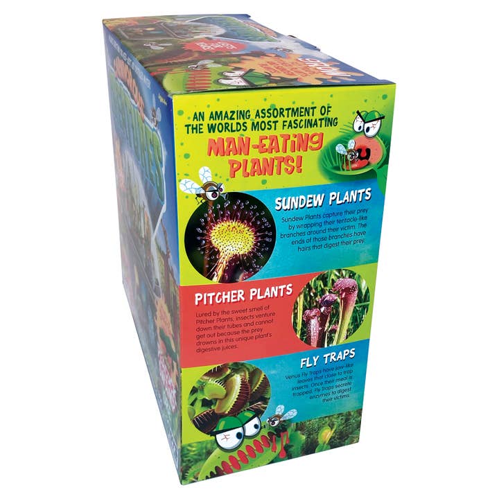 Silver Circle Products - Wholesale DIY Craft Kit - Kids - Carnivorous Creatures Biosphere Meat-Eating Terrarium Kit5