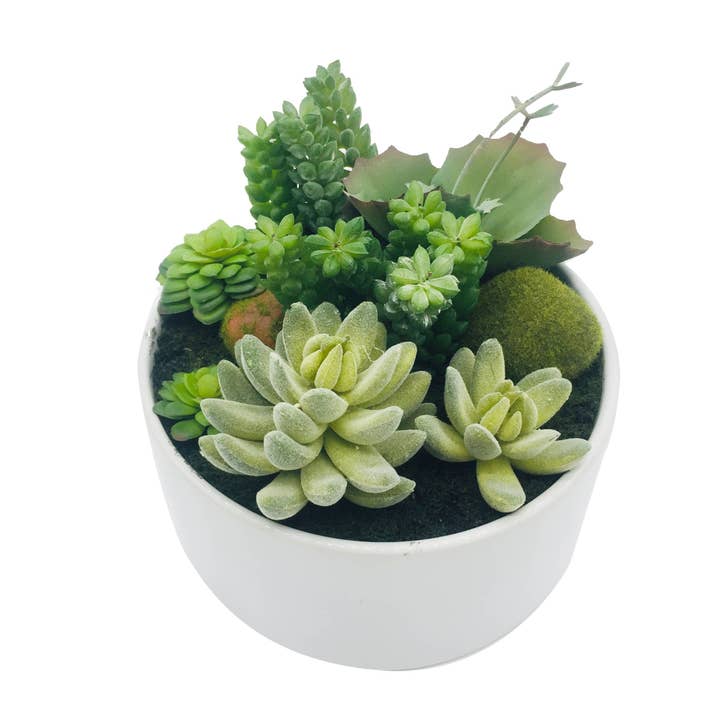 HomeRoots - Wholesale Artificial plant - 7" Green Artificial Succulent In A Round White Porcelain Planter3