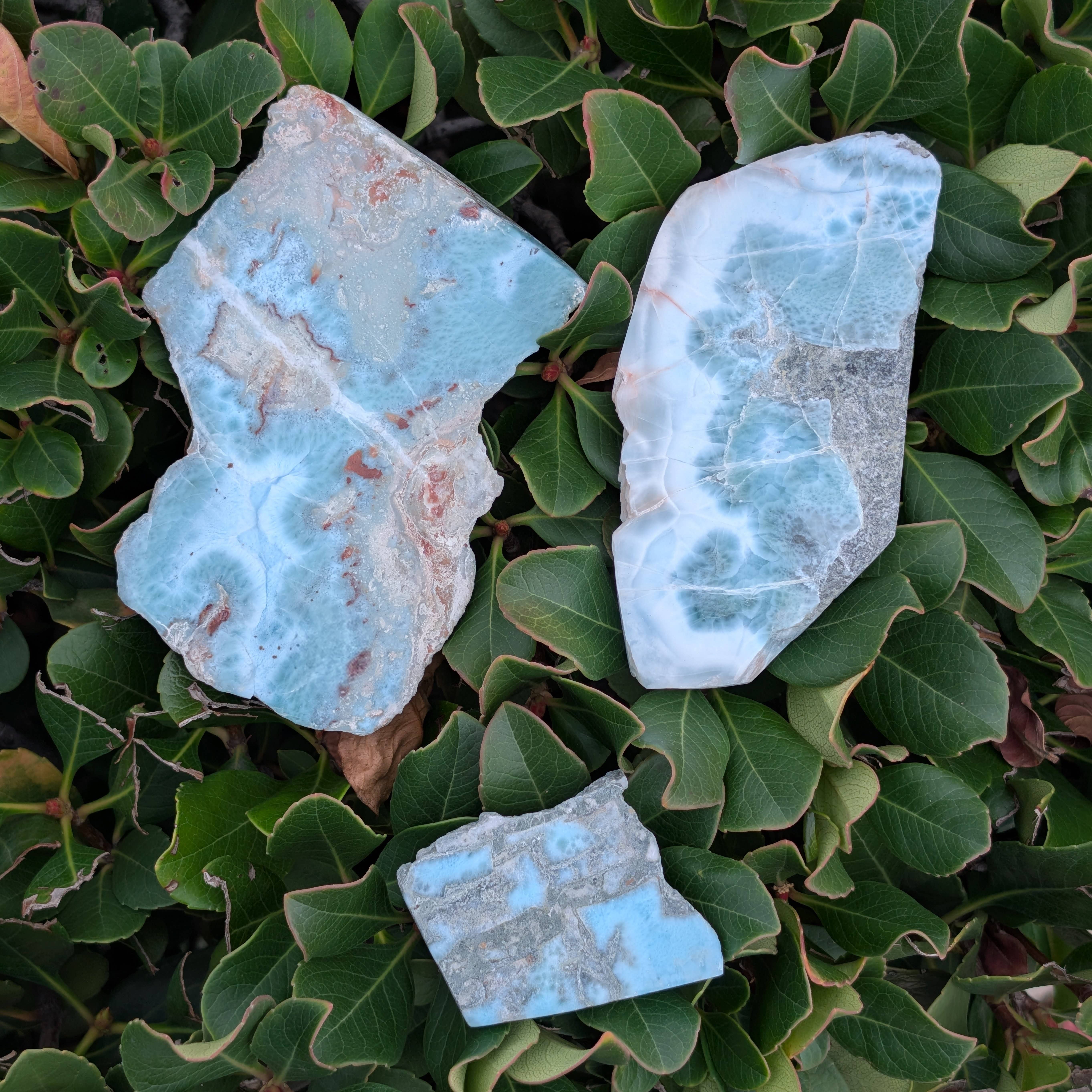 The Crystal Tabby - Wholesale Spiritual Stone/Crystal - Natural Larimar - Pick Your Piece8