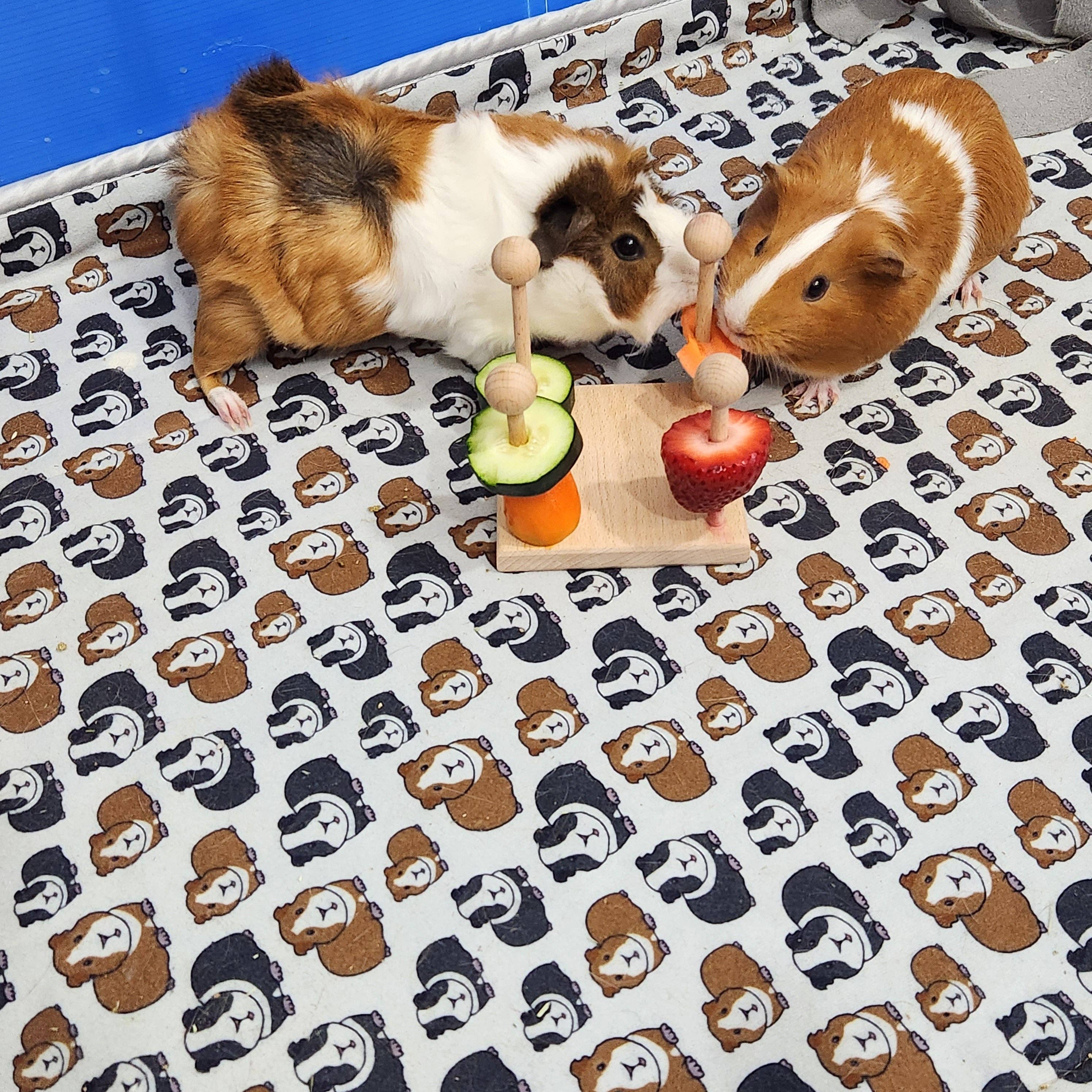 Tater Pets – wholesale Pet toy – Not cat/dog – Hanging Enrichment Toy for Small Pets3