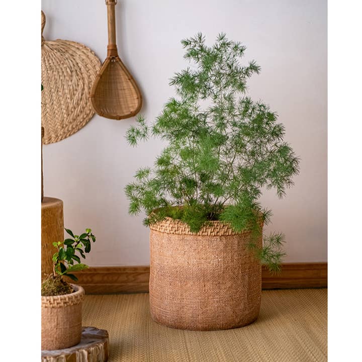 Rustic Reach - Wholesale Plant Pot - Straw Looking Concrete Planter