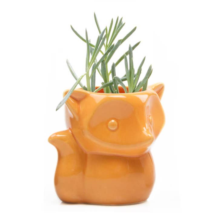 Chive UK - Wholesale Plant Pot - Fox - 3.5" Glazed Modern Ceramic Planter