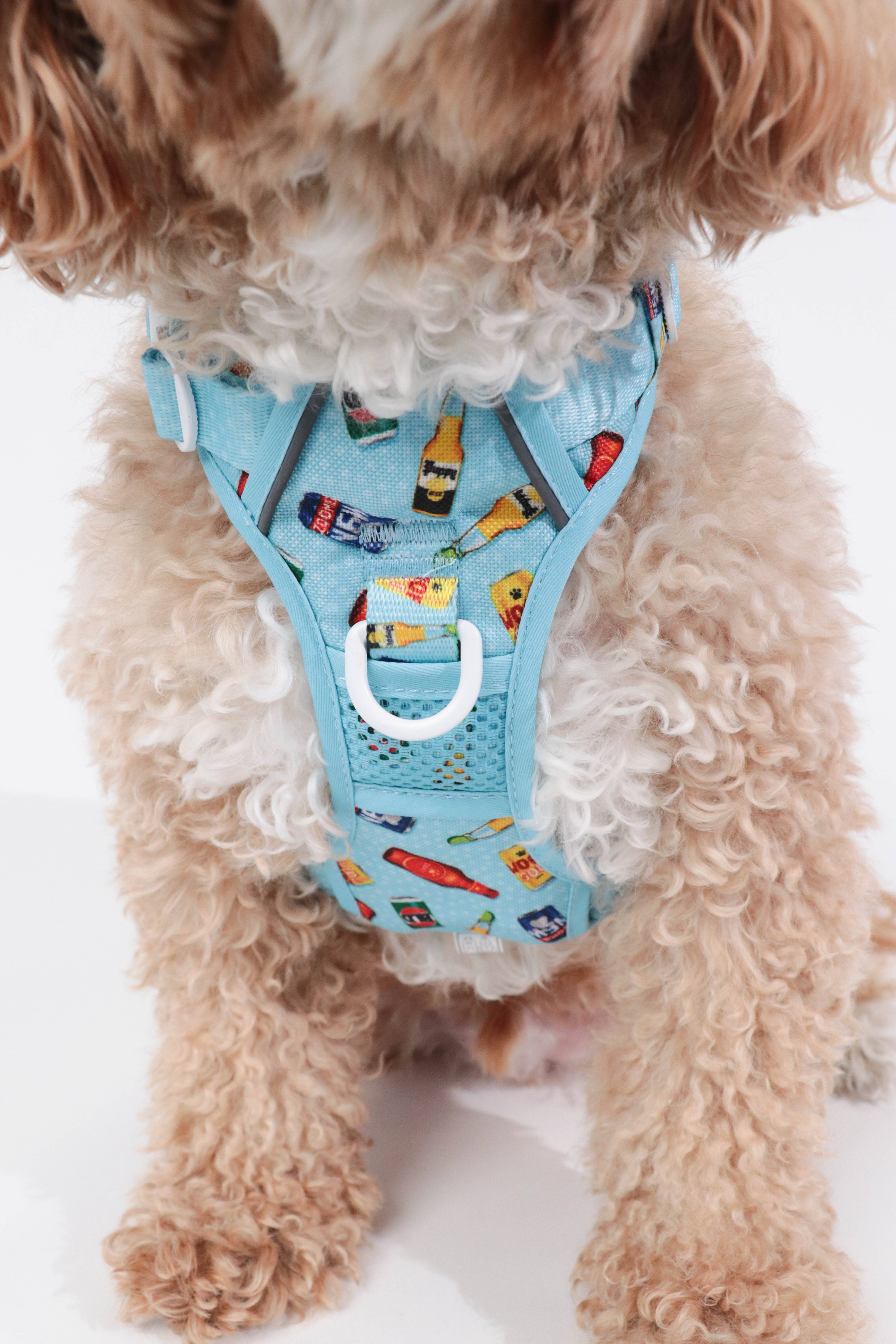 big and little dog harness