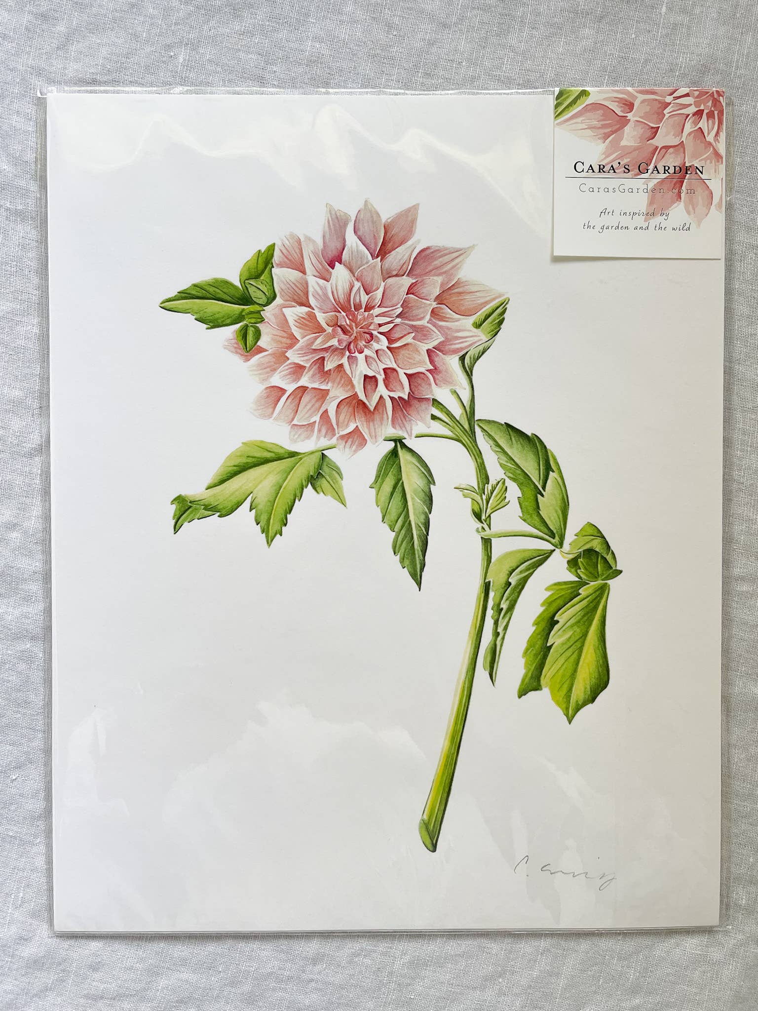 Cara's Garden – wholesale Konsttryck – Cafe au lait i trädgården3