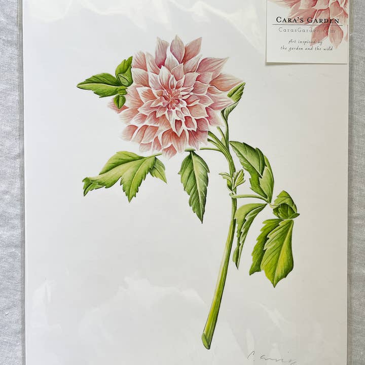 Cara's Garden – wholesale Konsttryck – Cafe au lait i trädgården3