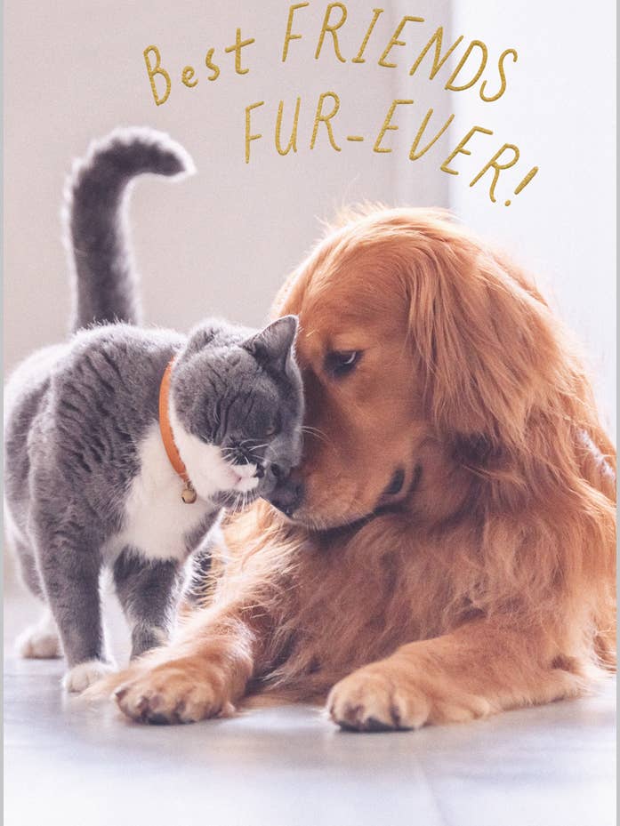 Amis pour toujours pour la vente par Abacus Cards and Clare Maddicott Publications