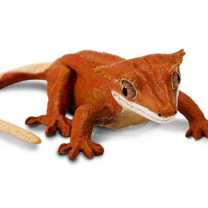 Safari Ltd. - Wholesale Figurine Toy - Kids - Crested Gecko - 1003443