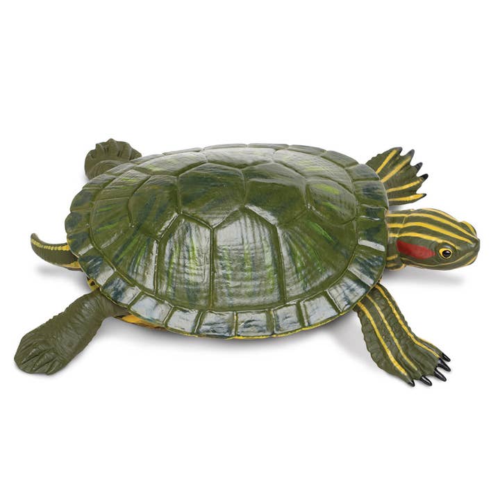 Safari Ltd. - Wholesale Figurine Toy - Kids - Red - Eared Slider Turtle - 269529